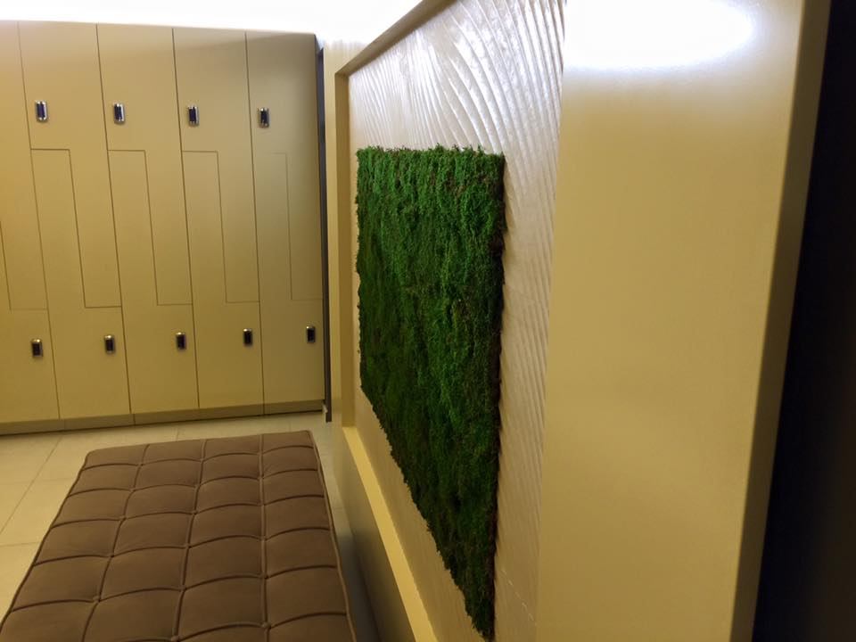 Perete din mușchi stabilizat lângă vestiarele spa-ului